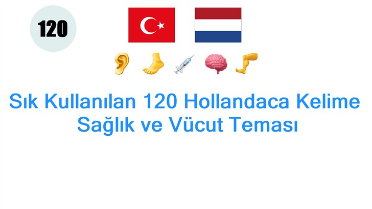 Sık Kullanılan 120 Hollandaca Kelime: Sağlık ve Vücut Teması